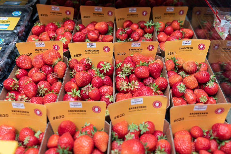 Frische Regionale Erdbeeren